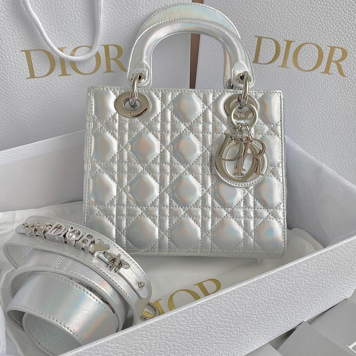 DIOR MEDIUM LADY 20 HANDBAG IN SILVER LAMBSKIN
